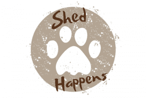 9 Crate Games and Activities for Dogs – Shed Happens