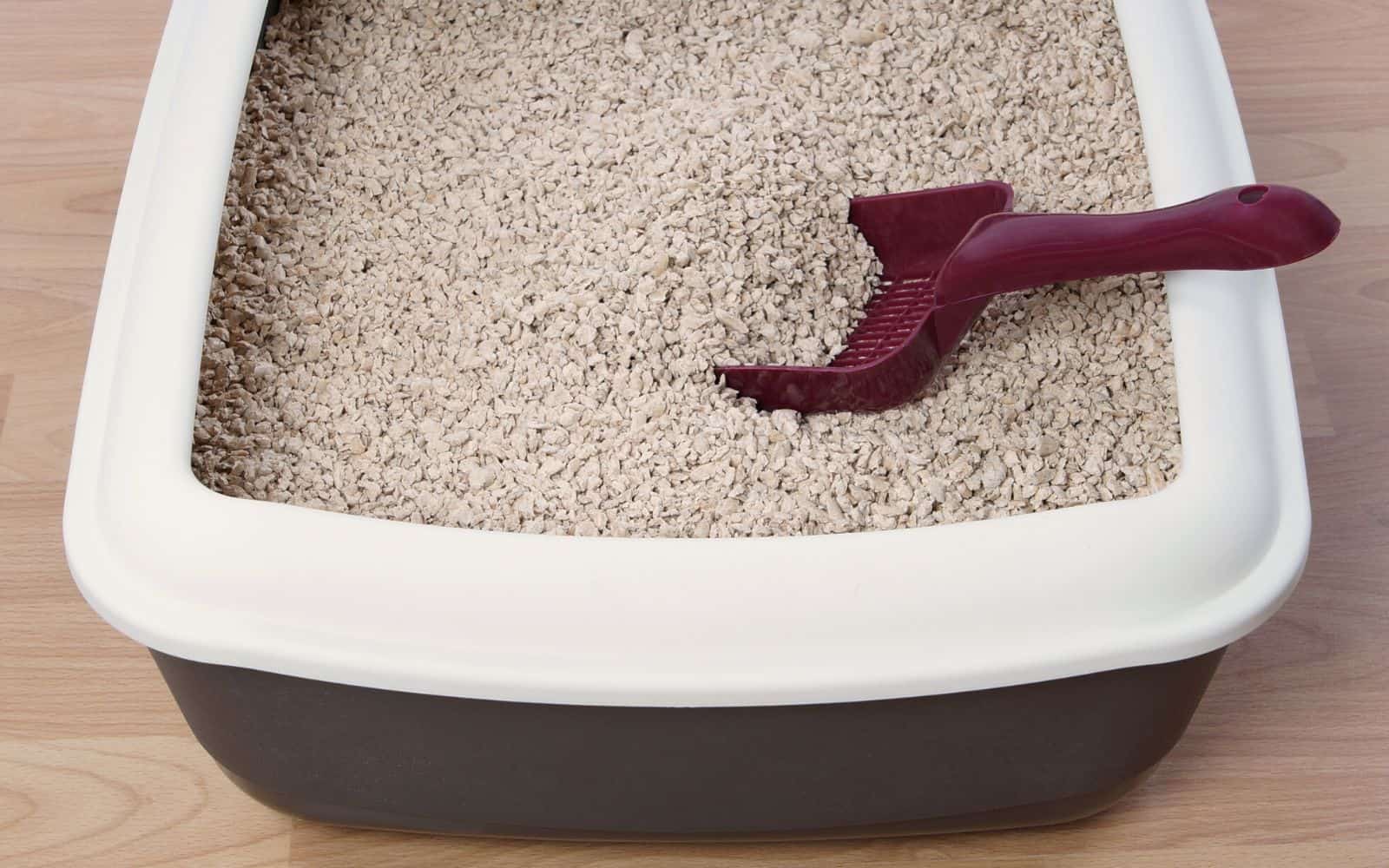 dark brown litter box with a cream coloured edge holding pellet style litter and a burgundy litter scoop