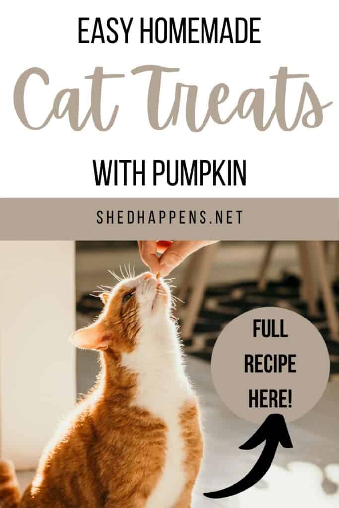 orange tabby cat with a white face, chest and stomach sitting on a white tile floor, reaching out its neck to reach a treat in someone's hand with the text Easy Homemade Cat Treats with Pumpkin