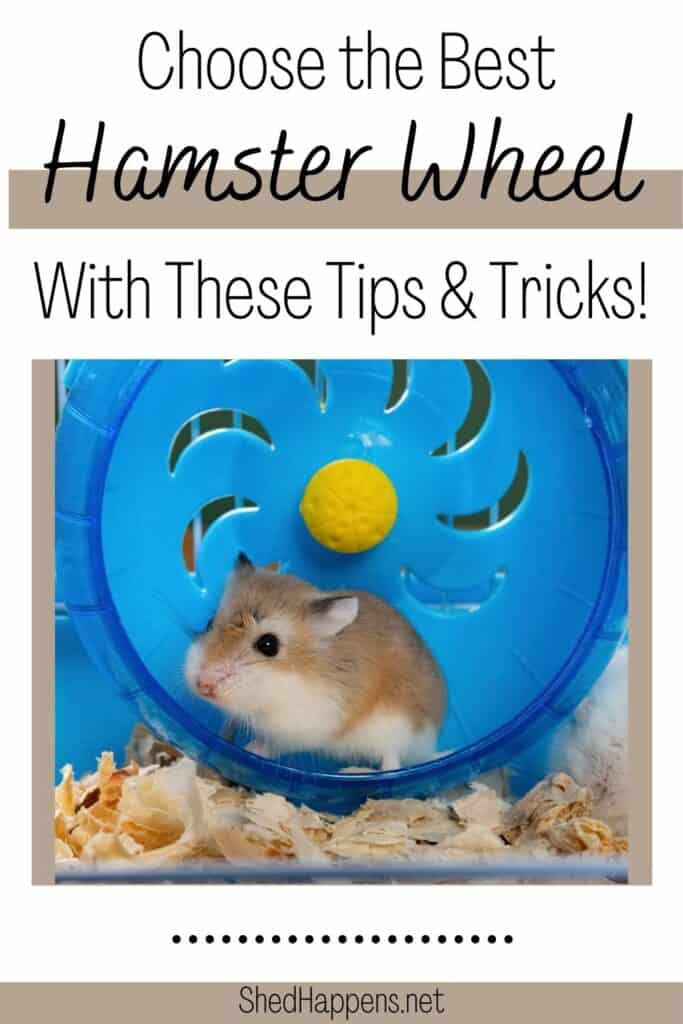 A small brown and white dwarf hamster is sitting inside a blue plastic exercise wheel inside a white and blue wire cage. A second all-white hamster is sitting beside it in the shavings.  Text states choose the best hamster wheel with these tips & tricks!